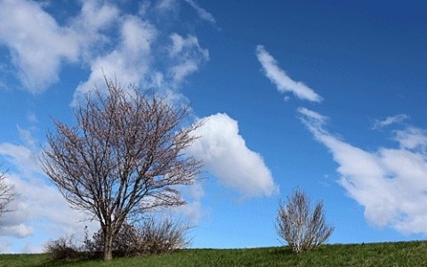 野球を楽しめた日の青空