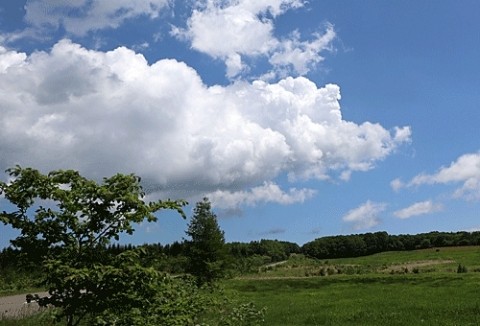 雨上がりの青空