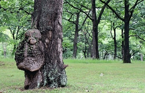 スズラン公園散歩