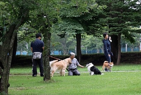 緑ヶ丘公園でお散歩ワンちゃん