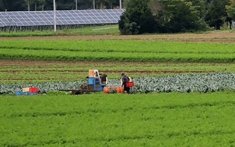 気温差の激しさが半端ない