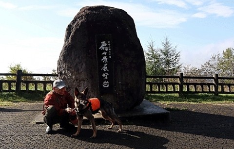 扇が原展望台と野生のナシ