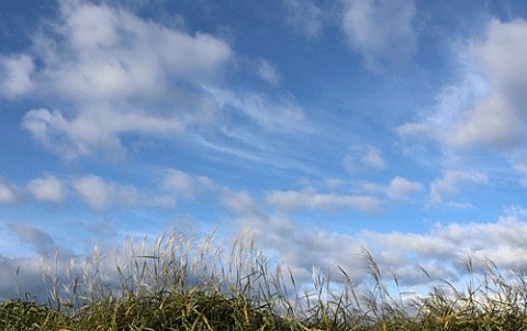 雨上がり秋の空