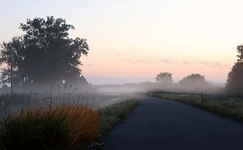 15日の朝霧風景