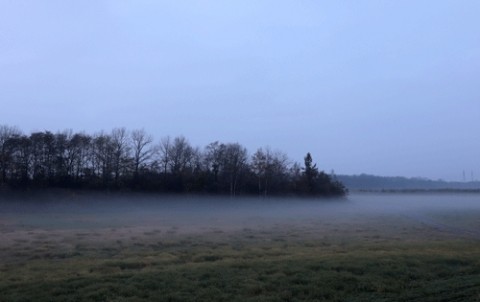 河川敷の朝霧