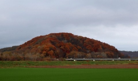 国見山の紅葉