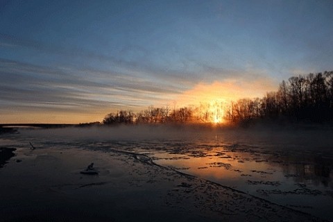 日の出時の河原の光景