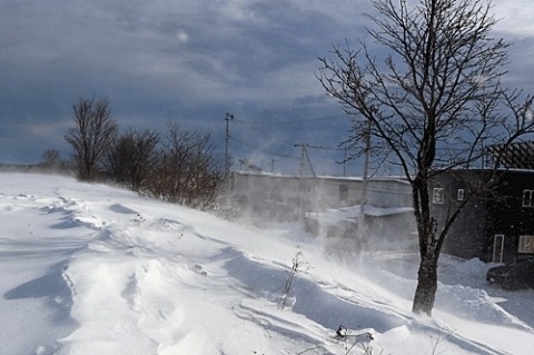 立っていられない猛吹雪の朝