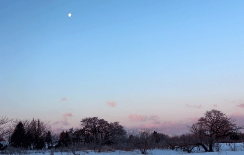 霧氷と朝の月
