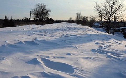 遊歩道の風雪紋