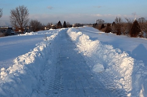 ボランティアで開けられた遊歩道