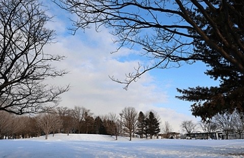 あずさ公園散歩