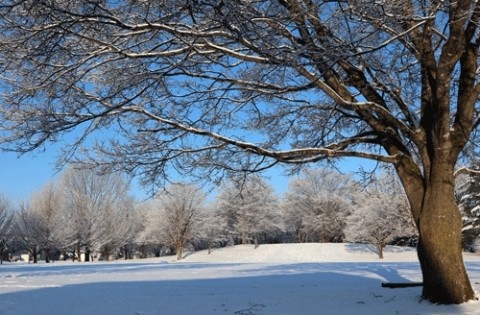 青空と雪景色