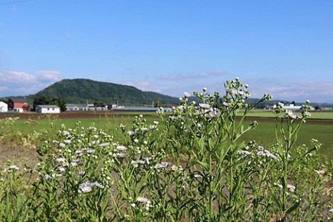 皆さまお久しぶりです
