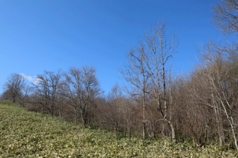 連休でも行くのは山