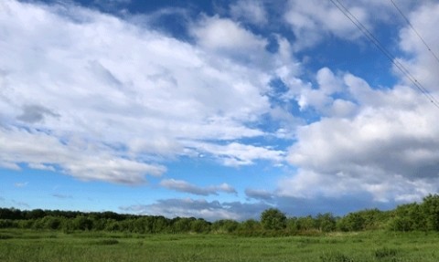 久しぶりの青空