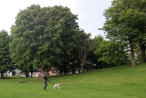 公園散歩