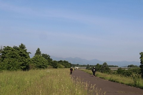 朝6時の散歩風景