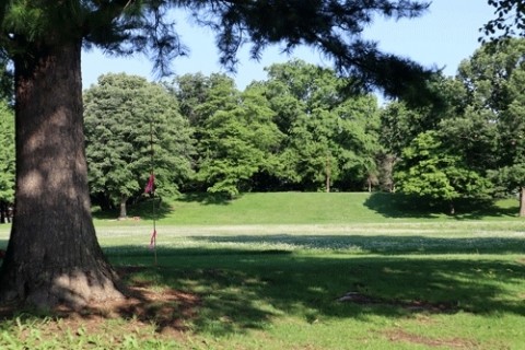 あずさ公園散歩