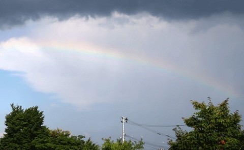 雨上がりの虹