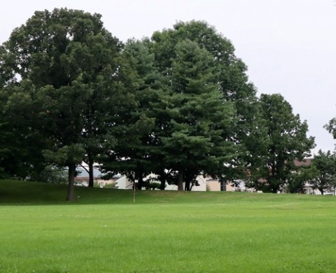 近くの公園散歩