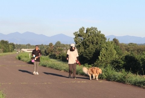 大好きな大型犬