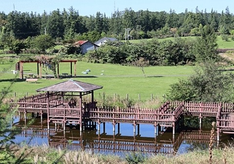 公園だったのかな?