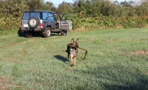 朝の冷え込みは秋ですね