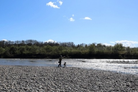 久しぶりの川遊び