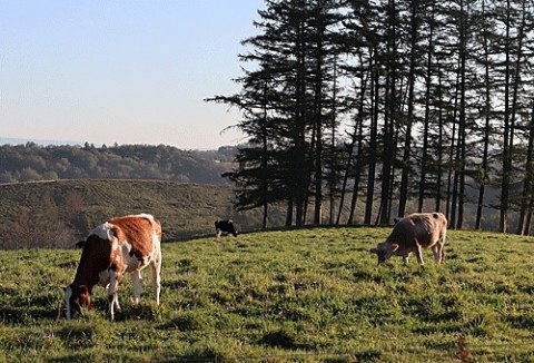 何もない寂しい秋
