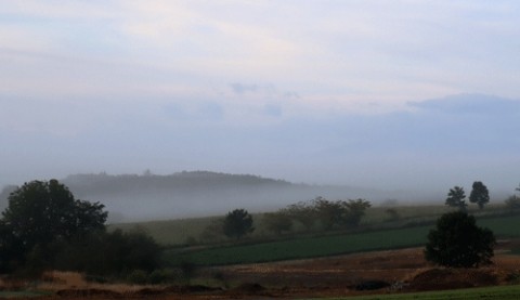 朝霧の山の風景