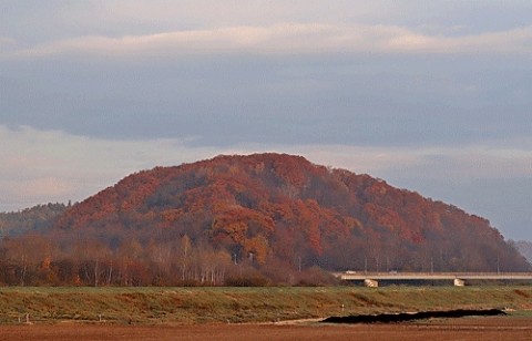 国見山の遅い紅葉