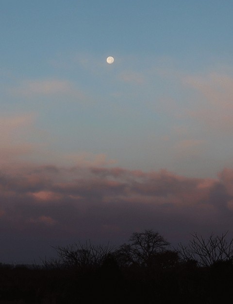6時ころに朝の月
