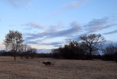 朝焼け時の運動