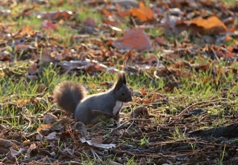 素晴らしい受賞