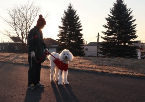 お散歩ワンちゃん