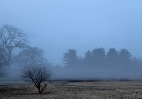 最高の運動広場