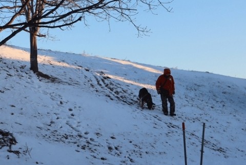 滑りそうでこわい
