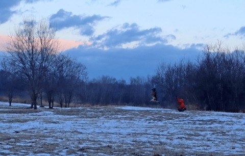 ジャンピングキャッチ