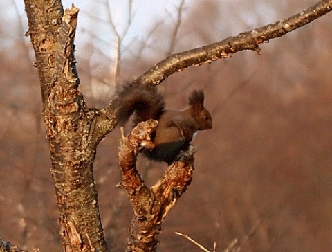 夜の地震が怖かった!!