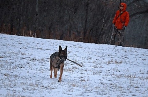 一番嫌いなのは風
