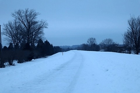 遊歩道の除雪に感謝