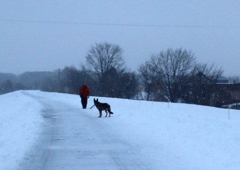 雪が降ってきました