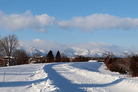 久しぶりの青空