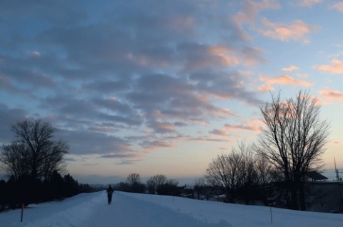 明るくなるのも遅いです