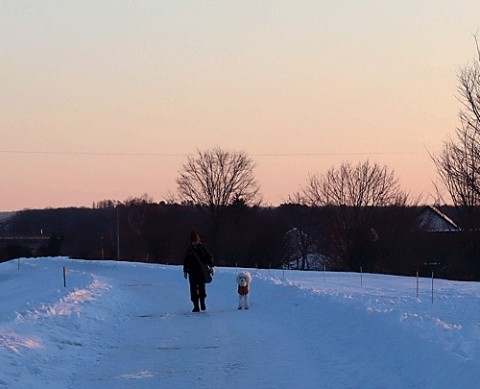 お散歩ワンちゃん
