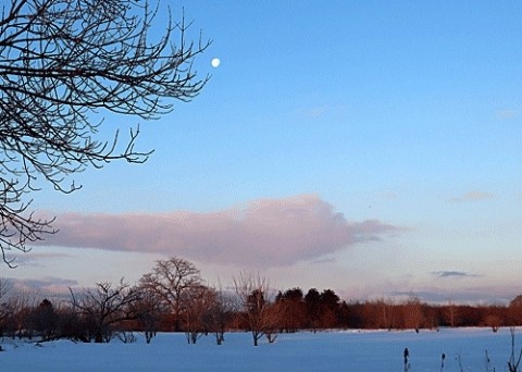 氷点下17度、朝の月
