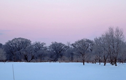 氷点下18度の霧氷