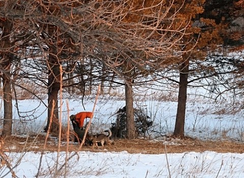 雪がない所で運動