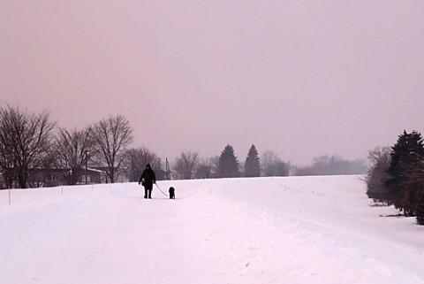 お散歩ワンちゃん